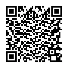 Codice QR per il numero di telefono +19795340135