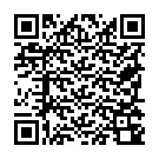 Codice QR per il numero di telefono +19795340333