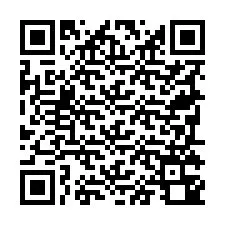 Codice QR per il numero di telefono +19795340674