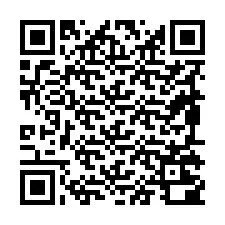 QR-code voor telefoonnummer +19895200911