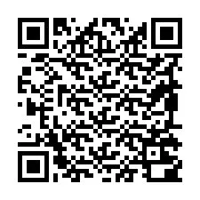 QR-код для номера телефона +19895200941