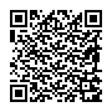 电话号码二维码 +19895201005