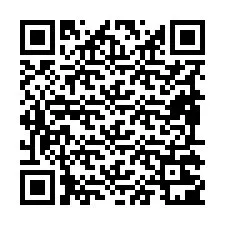 QR-код для номера телефона +19895201867