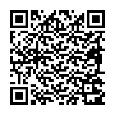 QR-код для номера телефона +19895201943