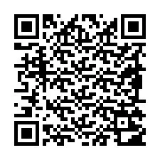 QR-code voor telefoonnummer +19895202498