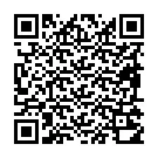 Codice QR per il numero di telefono +19895210053