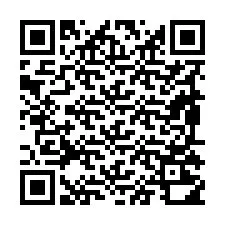 QR-код для номера телефона +19895210365