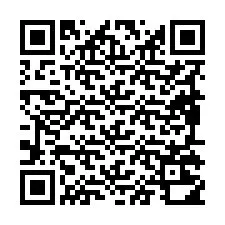 Codice QR per il numero di telefono +19895210916