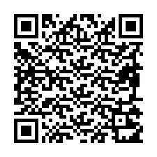 Código QR para número de telefone +19895211007