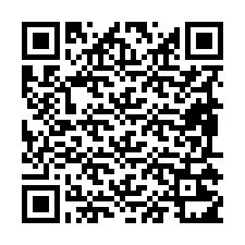 QR-код для номера телефона +19895211077