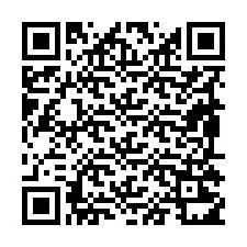 QR-code voor telefoonnummer +19895211265