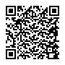 QR-Code für Telefonnummer +19895580313