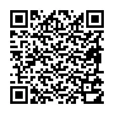 Codice QR per il numero di telefono +19895710047