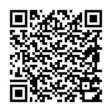 QR-code voor telefoonnummer +19895710461