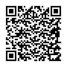 Código QR para número de telefone +19895711113