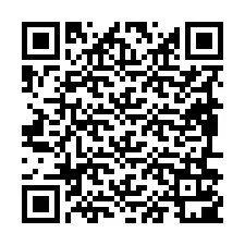 Codice QR per il numero di telefono +19896101246