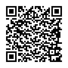 QR Code for Phone number +19896101896