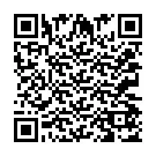 QR-code voor telefoonnummer +2033057029