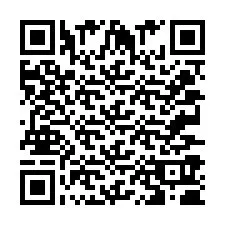 QR-Code für Telefonnummer +2033790619