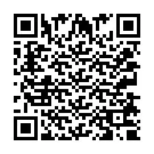 QR Code for Phone number +2033870894