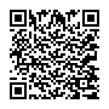 QR Code for Phone number +2033871769