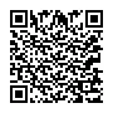 QR-код для номера телефона +2033873145