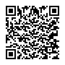 QR Code for Phone number +2033873473