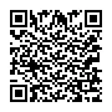 QR Code for Phone number +2033873955