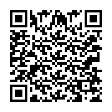 QR-code voor telefoonnummer +2033877465