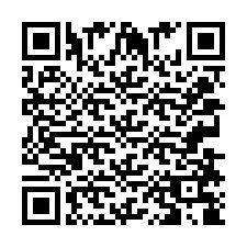 QR-code voor telefoonnummer +2033878865