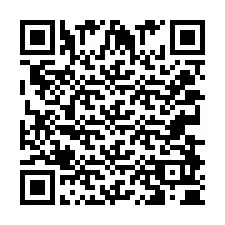 Codice QR per il numero di telefono +2033890427