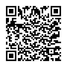 QR Code for Phone number +2037373908