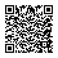 QR-code voor telefoonnummer +2038586829