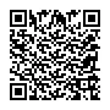 QR Code for Phone number +2039516887