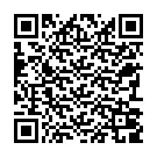 電話番号のQRコード +22793009200