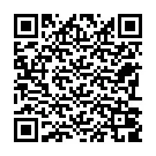 電話番号のQRコード +22793009225