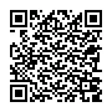 Codice QR per il numero di telefono +22793009228