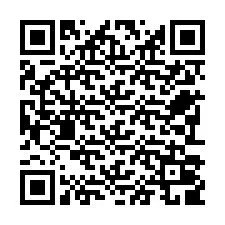 QR-Code für Telefonnummer +22793009233