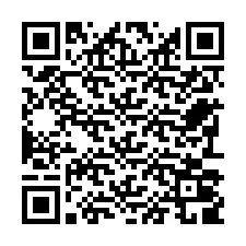 Codice QR per il numero di telefono +22793009317