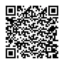 QR код за телефонен номер +22793009376