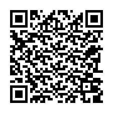 Codice QR per il numero di telefono +22793009379