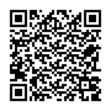 Codice QR per il numero di telefono +22793009473