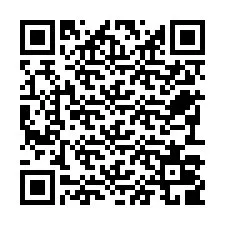 Código QR para número de teléfono +22793009503