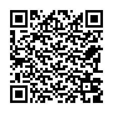 Codice QR per il numero di telefono +22793009527