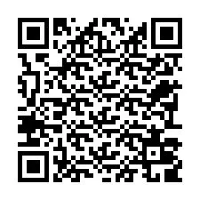 Codice QR per il numero di telefono +22793009529