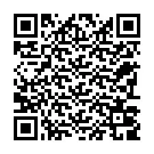 QR Code pour le numéro de téléphone +22793009531