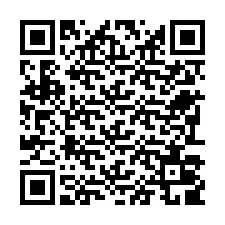 QR-code voor telefoonnummer +22793009566