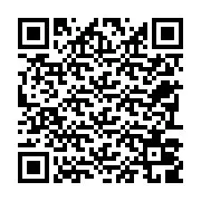 QR-Code für Telefonnummer +22793009569