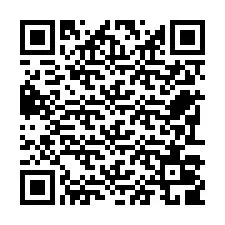 QR Code pour le numéro de téléphone +22793009577