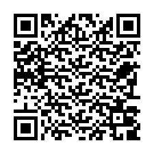 Código QR para número de teléfono +22793009593